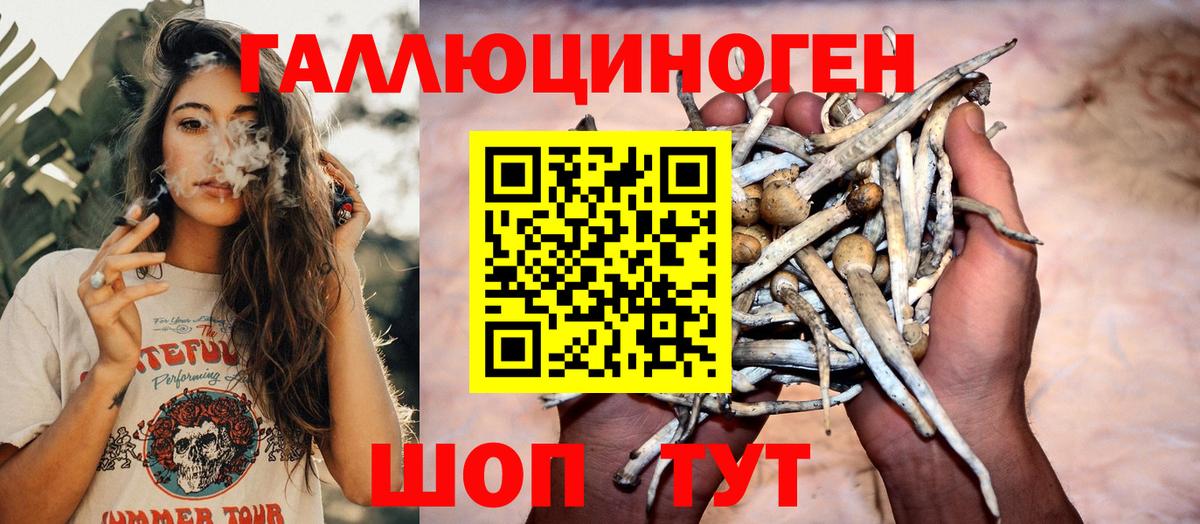 Истра  как найти закладки  Вход с VPN  Галлюциногенные грибы Psilocybine cubensis 