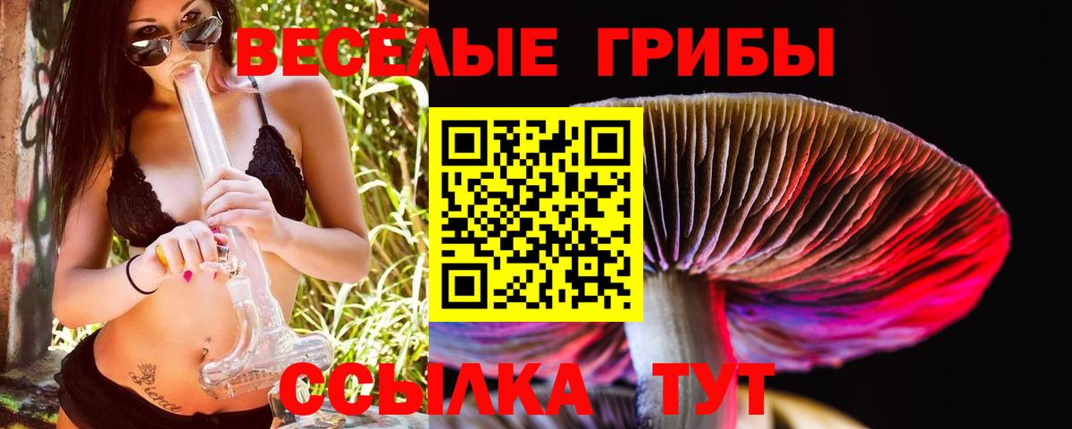 Галлюциногенные грибы ЛСД Истра